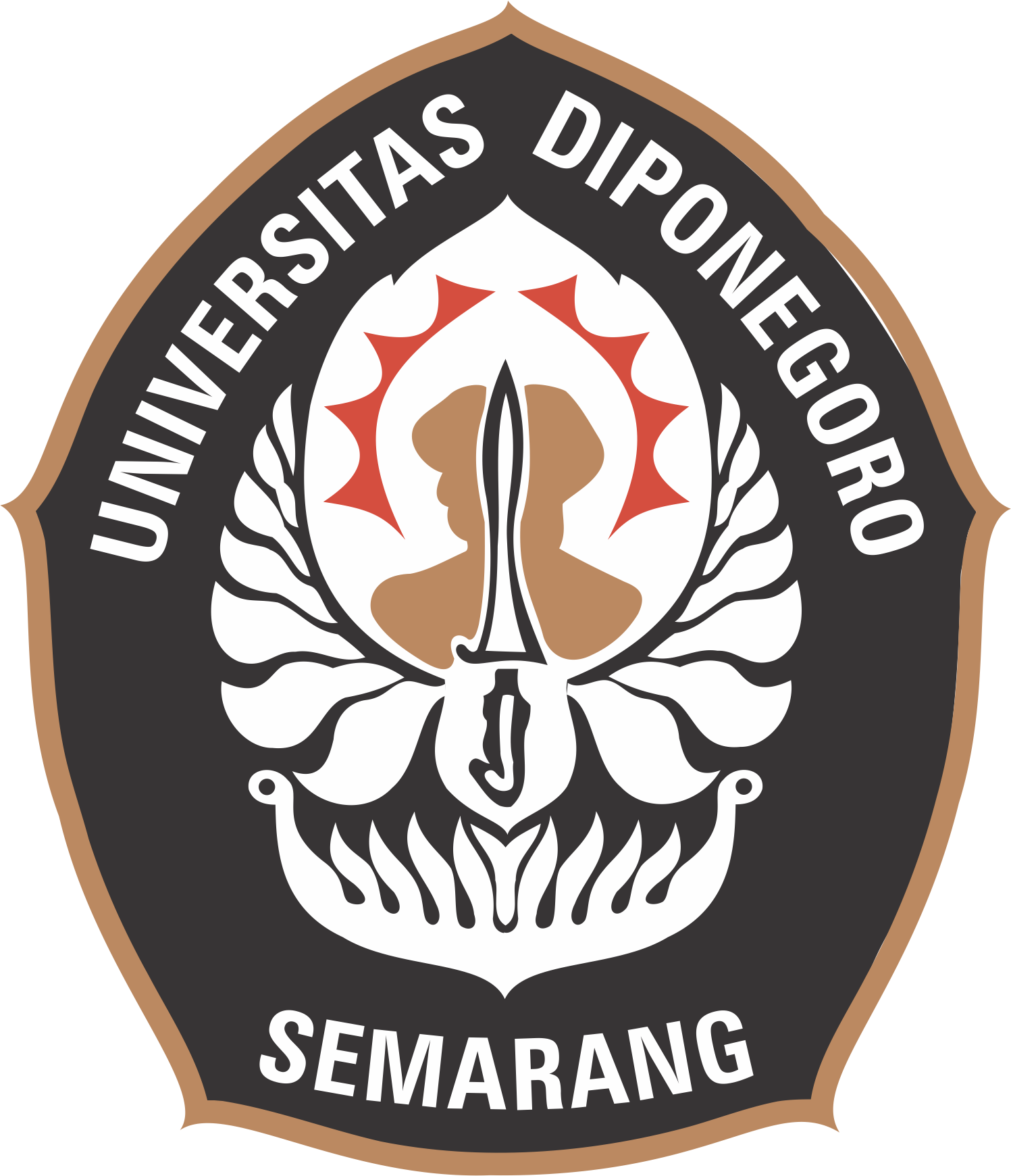 undip